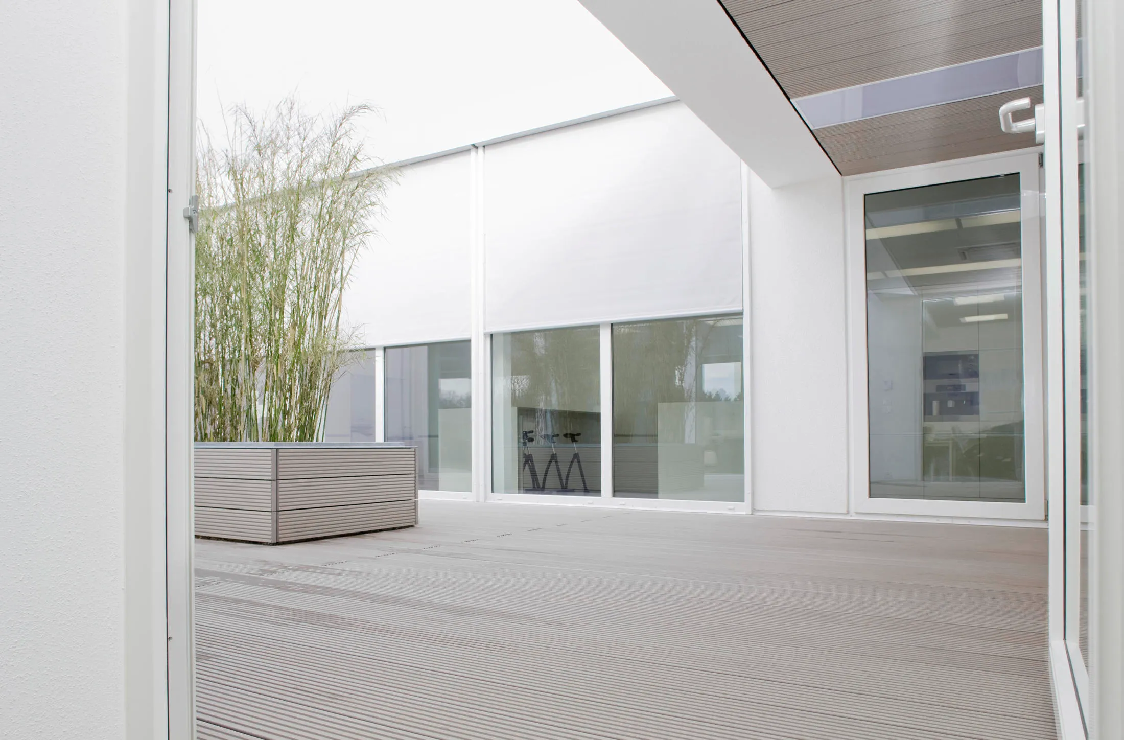 download 2024 12 13T153952.857