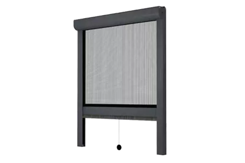 download 2024 12 17T102656.915