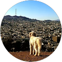 Louis Pavlovich profile picture